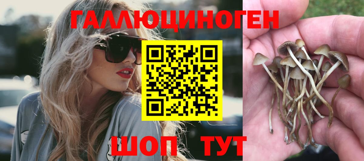 Псилоцибиновые грибы ЛСД  Вход с VPN  закладка  Муравленко 