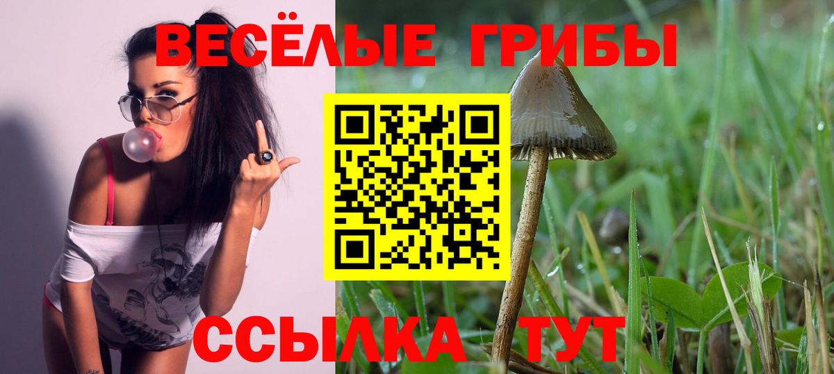 МЕФ   ГАШИШ  Экстази  Муравленко  Вход с VPN 