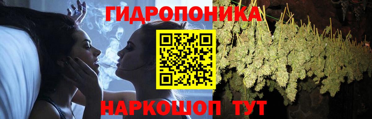 Муравленко  Бошки Шишки индика  Каннабис Bruce Banner  Канабис гибрид  Вход с VPN 